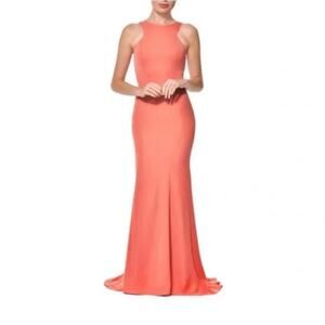 Nadine Merabi Coral Amie Gown Blush  Special Occasion Size 10